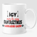  Így néz ki egy fantasztikus labrador gazdi bögre (igy-nez-ki-egy-fantasztikus-labrador-gazdi)