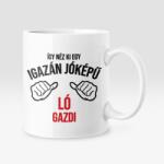  Így néz ki egy igazán jóképű ló gazdi bögre (jokepu_lo_gazdi_bogre)