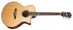 Ibanez MRC10-NT