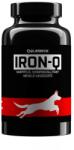 Quebeck Unbelievable Iron-Q vaspotló tabletta 120db (009IRON120)