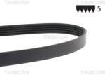 TRISCAN Curea transmisie cu caneluri TRISCAN 8640 500761SF (8640 500761SF) - automobilus
