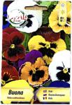 Opal Zi Seminte flori Panselute/Viola Mix 0, 2 gr, OpalZi Bulgaria