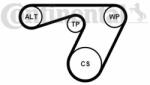 Continental Ctam Set curea transmisie cu caneluri CONTINENTAL CTAM 6PK1180K1 (6PK1180K1) - automobilus