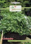 Furia Seminte Coriandru 5 gr (2501)