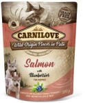 CARNILOVE Dog Puppy tasakos Paté Salmon with Blueberries - Lazac áfonyával 300g HU (CL111699)