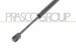 PRASCO Amortizor capota PRASCO BM8029005 (BM8029005) - automobilus
