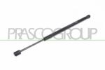 PRASCO Amortizor portbagaj PRASCO FD4229053 (FD4229053) - automobilus