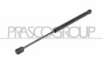 PRASCO Amortizor portbagaj PRASCO HN8029065 (HN8029065) - automobilus
