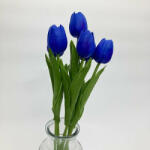  Sötétkék tulipán (Sotetkek-tulipan)