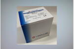  CRP gyorsteszt (Reader Plus) VedaLAB (20 db) (SUN691)