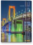 STREET Папка с ластик STREET Bridge A4 (24835-А-BRIDGE)