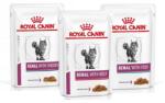 Royal Canin Renal Feline Vegyes ízek 36 x 85 g