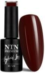 NTN Premium UV/LED 113#