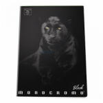 Pigna Moncromo Black Panther vonalas notesz A5 (02305941R)