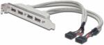 ASSMANN USB Slot Bracket cable, 4x type A-2x10pin IDC F/F, 0.25m, USB 2.0 compatibel, be (AK-300304-002-E) (AK-300304-002-E)