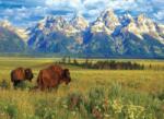 EUROGRAPHICS 6000-5474 - Grand Teton National Park - 1000 db-os puzzle (6000-5474)