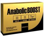 Yamamoto - Anabolic Boost - 60 Db (4926266002755)