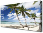  tulup. hu Canvas kép Seaside Palm Beach Landscape 120x60 cm