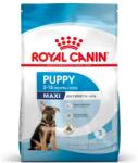 Royal Canin 10kg Royal Canin Maxi Puppy hrana uscata caine junior talie mare