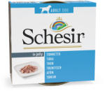 Schesir Schesir 6 x 150 g - Ton