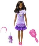 Mattel - Barbie HLL18 Prima mea păpușă Barbie HLL18 - Fetiță cu părul negru cu pudel (25HLL20) Papusa Barbie