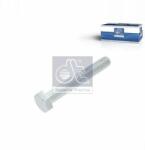 DT Spare Parts Surub DT Spare Parts 1.13130 (1.13130)