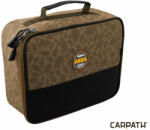 Delphin Area REEL Carpath 420220272