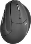 Bluestork M-WL-ERGO-LUMI-B Mouse