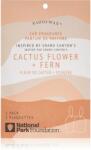 Paddywax Parks Cactus Flower + Fern parfum pentru masina 2 buc
