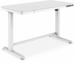 DIGITUS Electric height-adjustable Desk, 120x60x12cm top 50kg load, USB-charging ports, white (DA-90406)