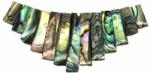  Colan din Sidef Abalon Natural - 10 ~ 27 x 5 mm