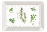 Easy Life Tálca gyógynövény mintával - 31x23cm - Herbarium