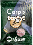 SENSAS Aditiv Sensas Carp Tasty Scopex 300 Grame (a0.s74476)