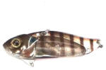 STRIKE PRO Cicada Strike Pro Astro Vibe, 5.5 Cm, 16.7 G, Culoare 986e (sp.pjg005b.986e)