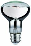 Paulmann Plant bec cu led 1x6.5 W 1300 K E27 28733 (28733)