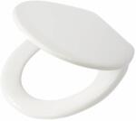 Tiger Aiden capac wc SoftClose alb 251480646 (251480646)