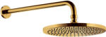Omnires SlimLine cap de duș cu braț 25.4x25.4 cm rotund auriu WGSET1GL (WGSET1GL)
