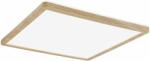 Paulmann Atria plafon 1x16 W alb-lemn 71035 (71035)