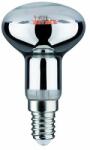 Paulmann Plant bec cu led 1x6.5 W 1300 K E14 28734 (28734)