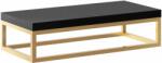 Baltica Design Bente consolă 75x35x17 cm negru-auriu 5904107906645 (5904107906645)