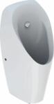 Geberit Tamina pisoar 116.142. 00.1 (116142001)