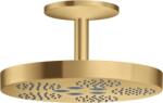 Hansgrohe One cap de duș cu braț 28.2x28.2 cm rotund auriu 48493250 (48493250)