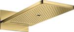 Hansgrohe ShowerSolutions cap de duș 58x25.8 cm dreptunghiular auriu 35283990 (35283990)