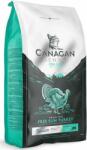 Canagan Dental turkey 4 kg