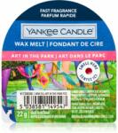 Yankee Candle Art In The Park ceară pentru aromatizator 22 g