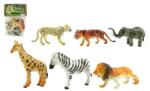 Teddies ZOO safari animale 6 buc plastic 10cm (TD00311280) Figurina