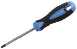 Högert Technik TORX csavarhúzó hatszögű, T15, S2 acél, 100 mm (HT1S054) (HT1S054)
