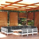 vidaXL Set mobilier de grădină cu perne, 13 piese, alb, lemn masiv pin (3097236) - maryon