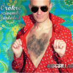 Megadó Kiscsillag - Örökre szívembe zártalak (LP)