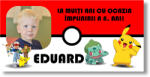 Personal Banner pentru ziua de naștere cu fotografie - Pokemon Dimensiunea bannerului: 130 x 65 cm
